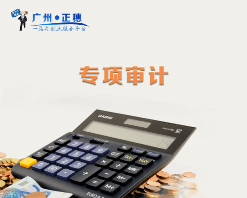 專項審計