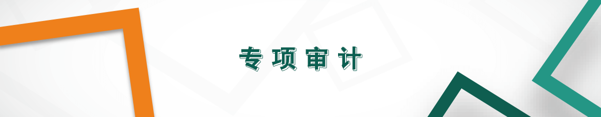 專項審計