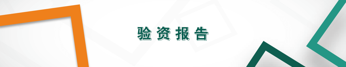 驗(yàn)資報(bào)告