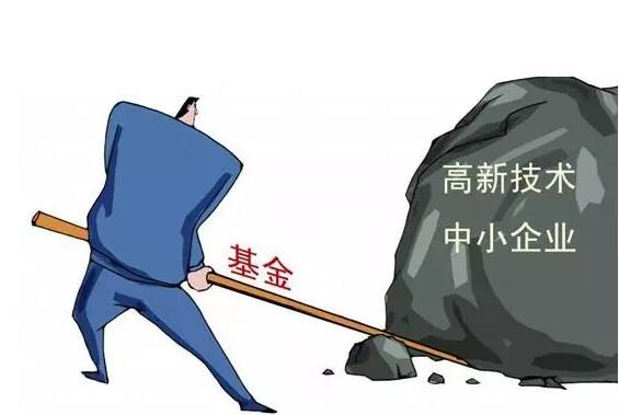 技型中小企業創業投資引導基金項目