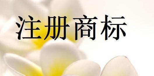 佛山中國馳名商標數(shù)量居全國地級市首位