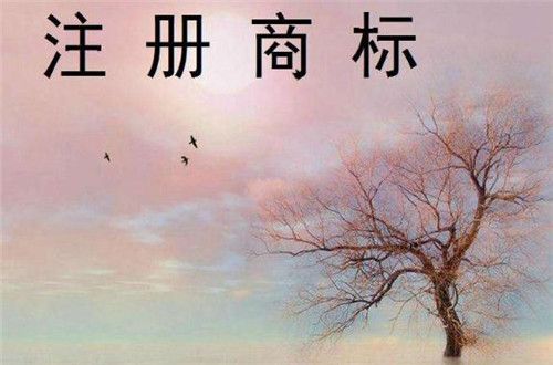 廣州商標注冊代理注意事項 廣州商標注冊代理注意事項
