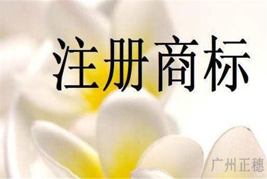 廣州商標(biāo)注冊(cè)步驟是什么