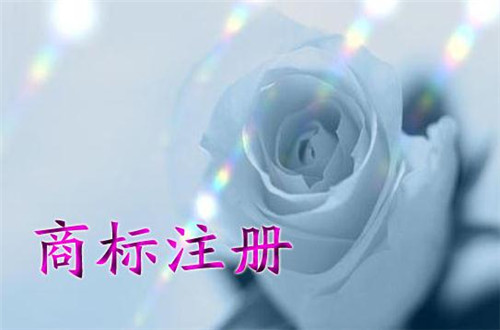 商標有哪些分類 三大分類你要知道