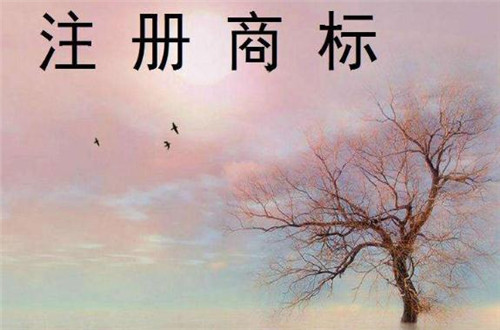 如何在網(wǎng)上專利注冊(cè) 專利注冊(cè)申請(qǐng)流程有哪些