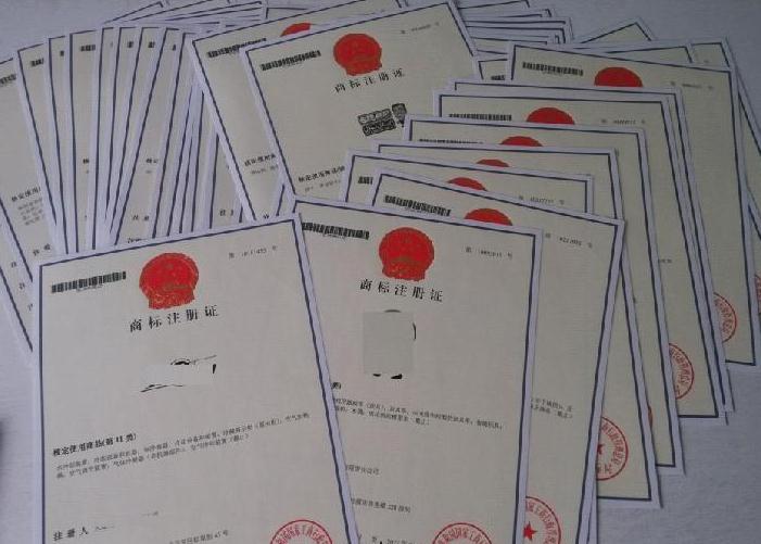 商標申請后多久可以查詢到